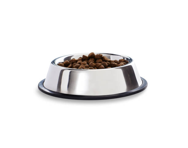 PAWLUX Ceramic Dog Bowl
